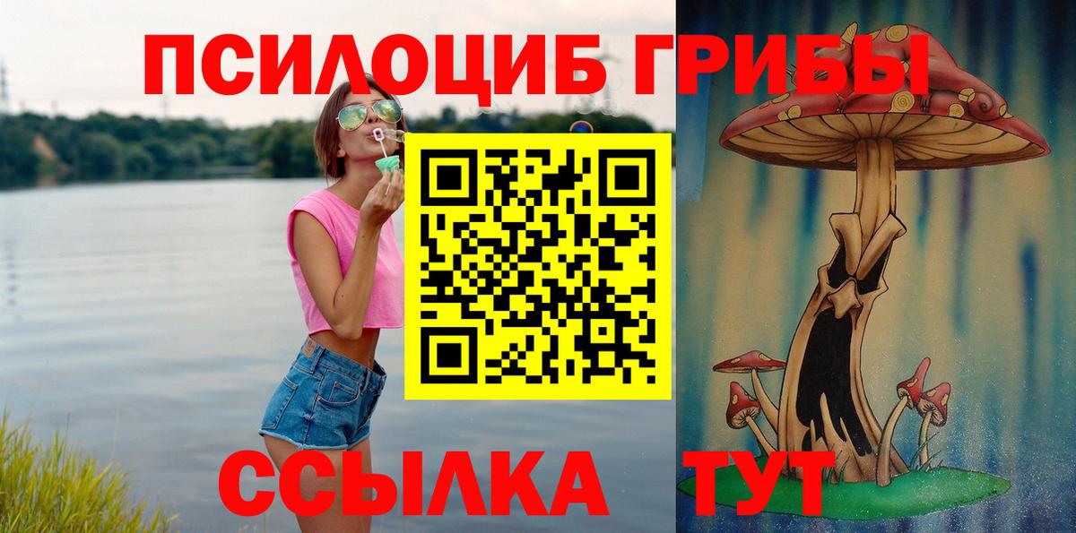 Гай  Псилоцибиновые грибы GOLDEN TEACHER  Вход с VPN  Галлюциногенные грибы ЛСД 